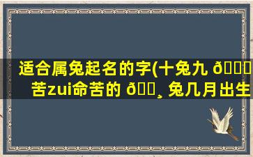适合属兔起名的字(十兔九 🕊 苦zui
命苦的 🌸 兔几月出生)